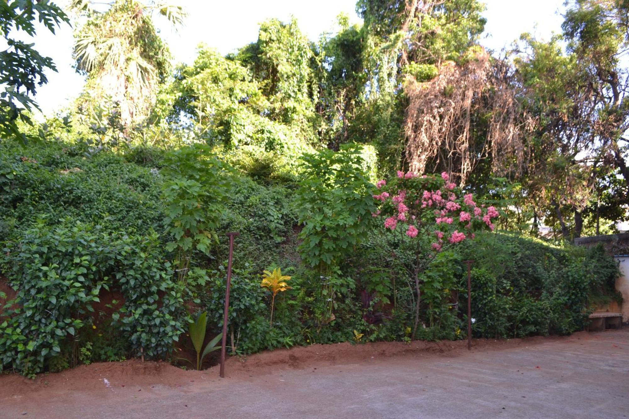 Yuga Guest House Kuttalam  Exterior photo